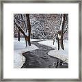 Peaceful Winter Path Framed Print