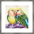 Peach-faced Lovebirds Framed Print