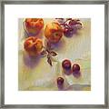 Peaches And Cherries Framed Print
