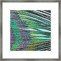 Peacock Abstract Framed Print