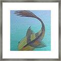 Pearly Fishy Framed Print