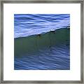 Pelican Formation At Torrey Pines Framed Print