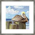 Pelican Perch Framed Print