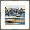 Pelican Roost At Pier Framed Print