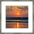 Pelicans On The Move Framed Print