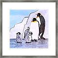 Penguin Family Framed Print