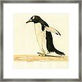 Penguin Walking Framed Print