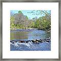 Pennypack Creek - Philadelphia Framed Print