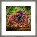 People Of The Forest Framed Print