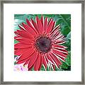 Perfect Imperfection Framed Print