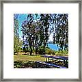 Perfect Picnic Place Framed Print