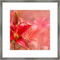 Perfect Red Framed Print