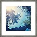 Camping View Framed Print