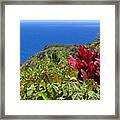 Perfect View Framed Print