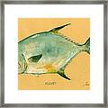 Permit Fish Framed Print