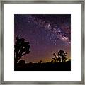 Perseid Meteor Over Joshua Tree Framed Print