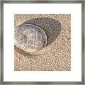 Petoskey In The Sand Framed Print