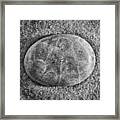 Petoskey Stone In Black And White Framed Print