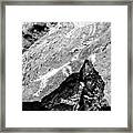 Petrogllyph Canyon 3 Framed Print