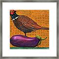 Pheasant On An Eggplant Framed Print