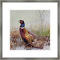 Pheasants In The Snow Framed Print