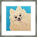 Phebe Date With Paint Nov 20th Framed Print