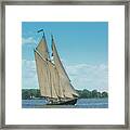 Schooner Under Sail Framed Print