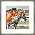 Picking Up The Pace At Obx Framed Print