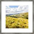 Picturesque Tasmanian Field Landscape Framed Print