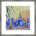 Pigeons Framed Print