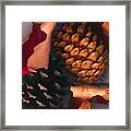 Pine Cones And Leaves Framed Print