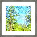 Pine Sky Vista Framed Print