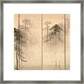 Pine Trees Framed Print