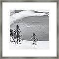 Pines In Snow Drifts Black And White Framed Print