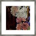 Pink And White Framed Print