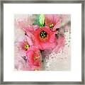 Pink Babies.jpg Framed Print