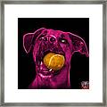 Pink Boxer Mix Dog Art - 8173 - Wb Framed Print