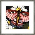 Pink Butterfly Framed Print