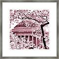 Pink Cherry Trees At The Jefferson Memorial Framed Print