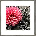 Pink Dahlia With John Lennon Quote Framed Print