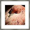 Pink Flamingo I'll Be Watching You Framed Print