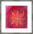 Pink Fusion Framed Print