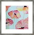 Pink Poppies Framed Print