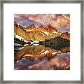 Pink Reflections Framed Print