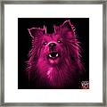 Pink Sheltie Dog Art 0207 - Bb Framed Print