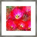 Pink Tulips Framed Print