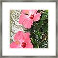 Pink Twins Framed Print