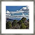 Pinon Forest At The Top Of Kolob Canyon Framed Print