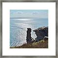 Planet Earth Is Blue Framed Print