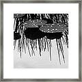 Plant Abstract Framed Print